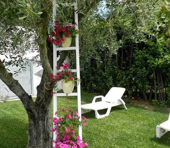 La Rondine 팜스테이 *