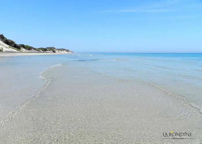 La Rondine 팜스테이 *