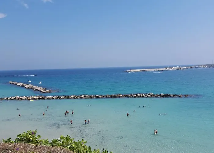 La Rondine 오트란토