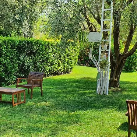 Agriturismo La Rondine