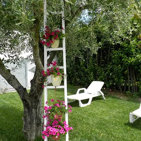 Agriturismo La Rondine Farm stay *