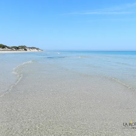 La Rondine Κατάλυμα σε φάρμα *