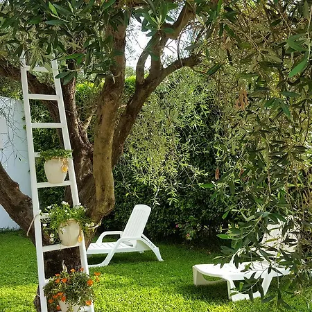 Agriturismo La Rondine